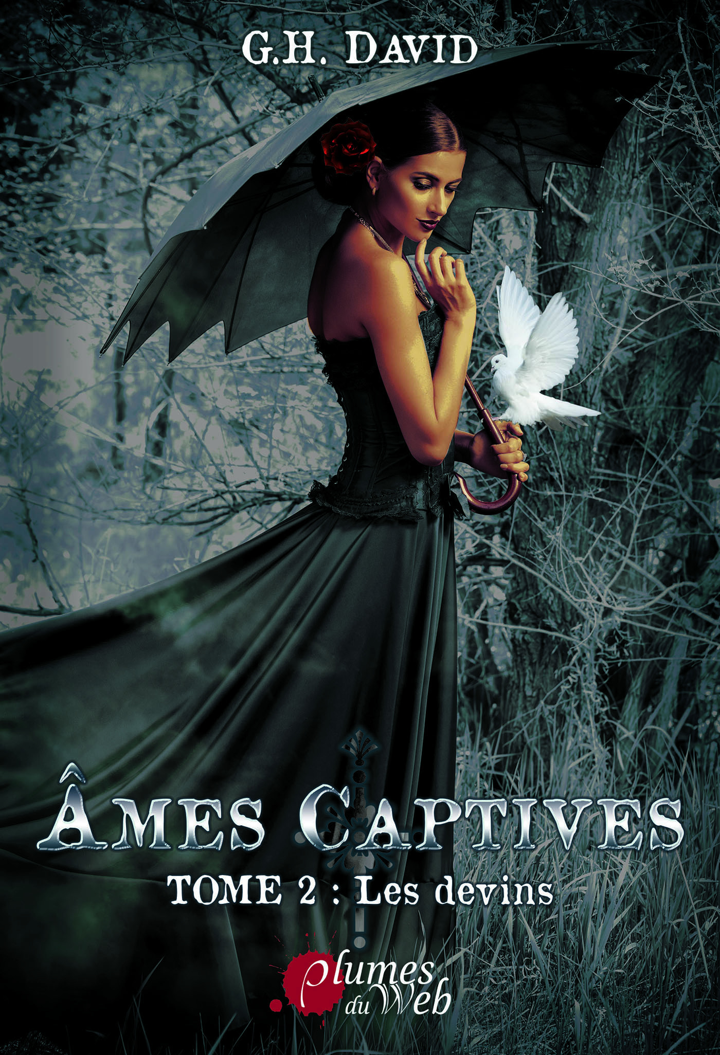 Couverture ebook de Âmes Captives - Tome 2 : les devins, de David G.H.