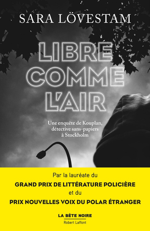 ebook cover of Libre comme l'air - Tome 3, by Sara Lovestam
