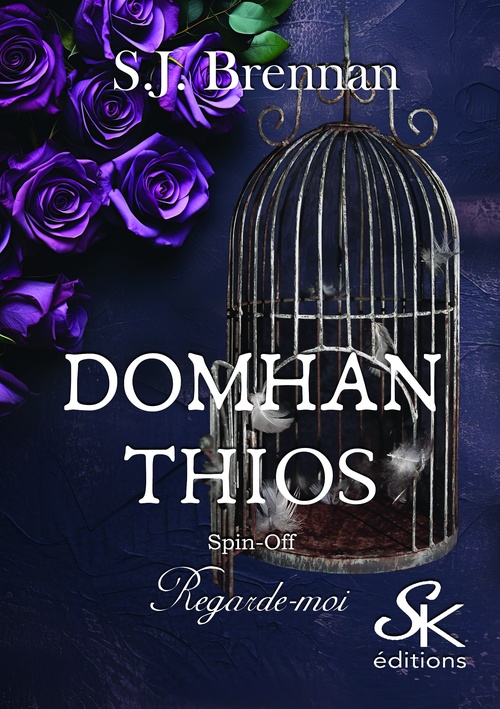 ebook cover of Domhan Thios spin-off 1, by S.J. Brennan