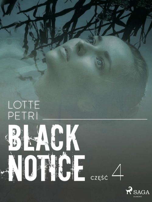 ebook cover of Black notice: cze´s´c 4, by Lotte Petri