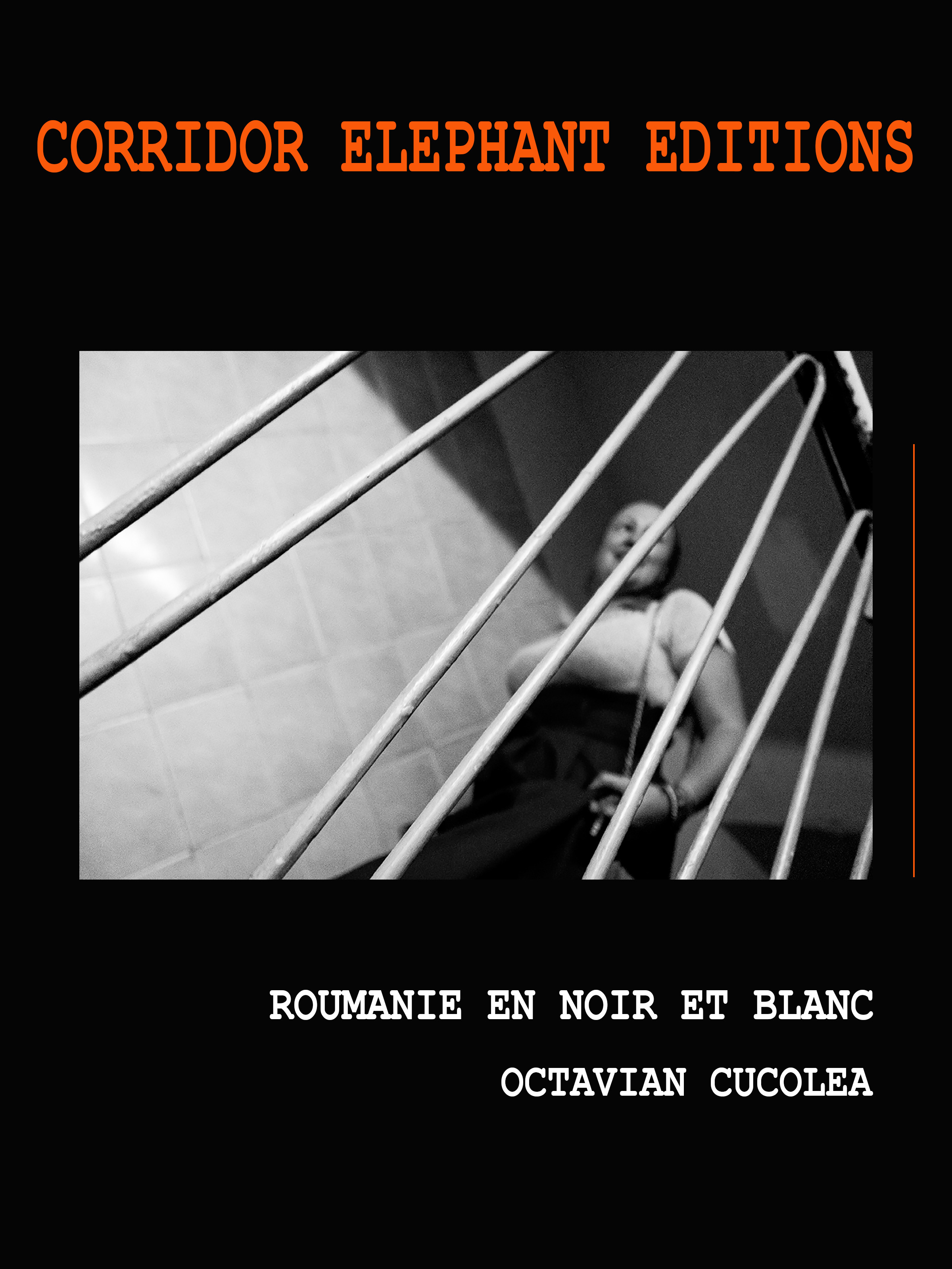 Couverture ebook de Roumanie en noir et blanc, de Octavian Cucolea