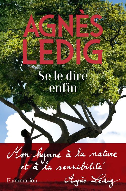 Couverture ebook de Se le dire enfin, de Agnès Ledig