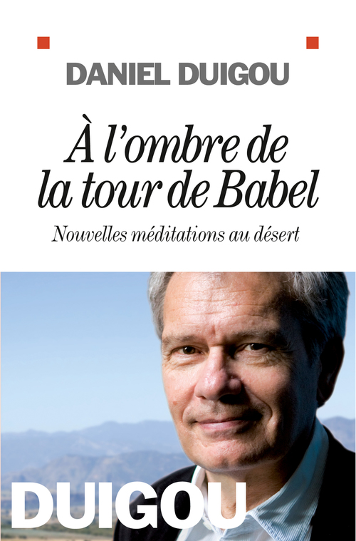 ebook cover of A l'ombre de la tour de Babel, by Daniel Duigou