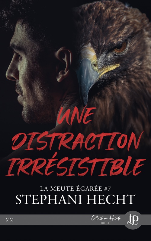 Couverture ebook de Une distraction irrésistible, de Stephani Hecht