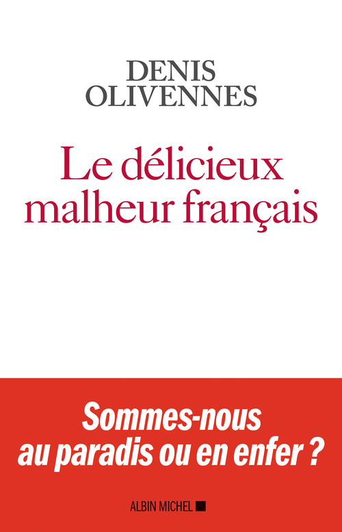 ebook cover of Le Délicieux malheur français, by Denis Olivennes