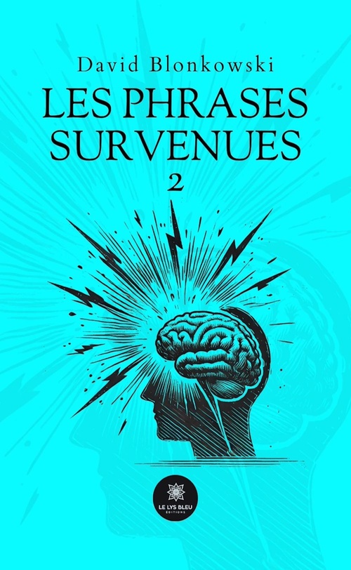 ebook cover of Les phrases survenues 2, by David Blonkowski