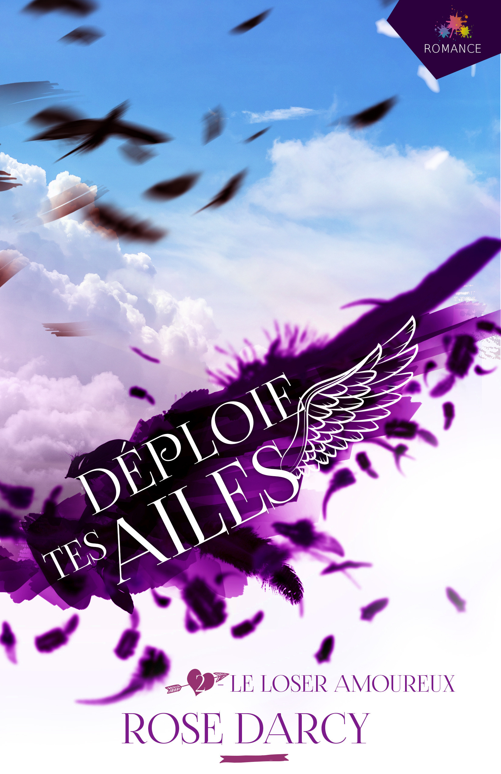 Couverture ebook de Le loser amoureux, de Rose Darcy