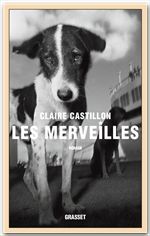 Couverture ebook de Les merveilles, de Claire Castillon