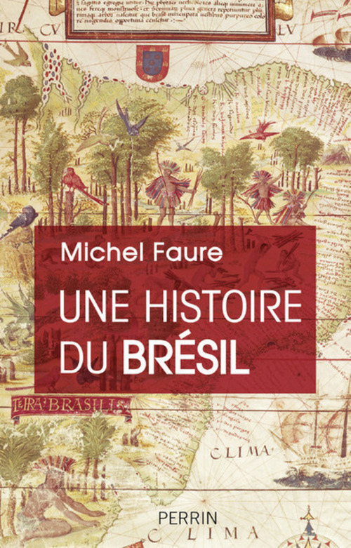 ebook cover of Une histoire du Brésil, by Michel Faure
