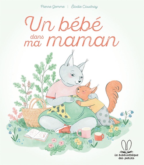 Couverture ebook de Un bébé dans ma maman, de Pierre Gemme
