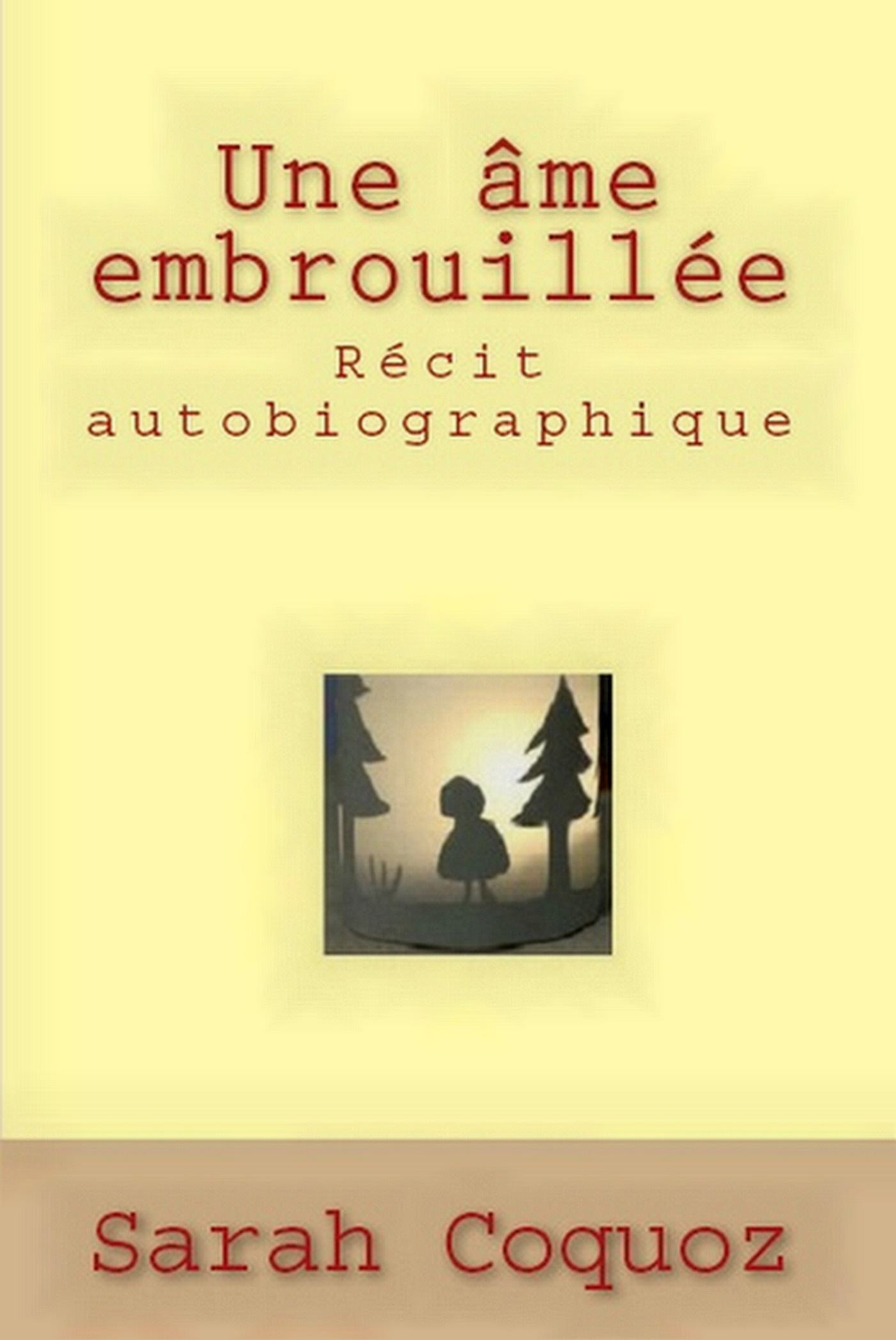 Couverture ebook de Une âme embrouillée, de Sarah Coquoz
