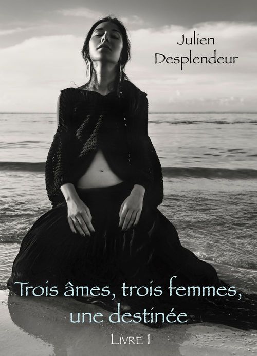ebook cover of Trois âmes, trois femmes, une destinée, by Julien Desplendeur