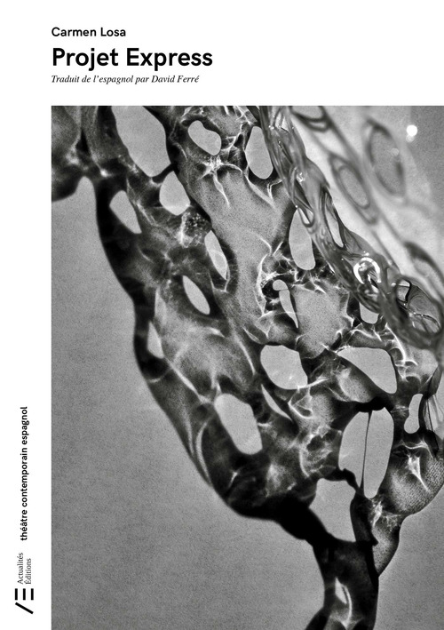 ebook cover of Projet Express, by Carmen Losa