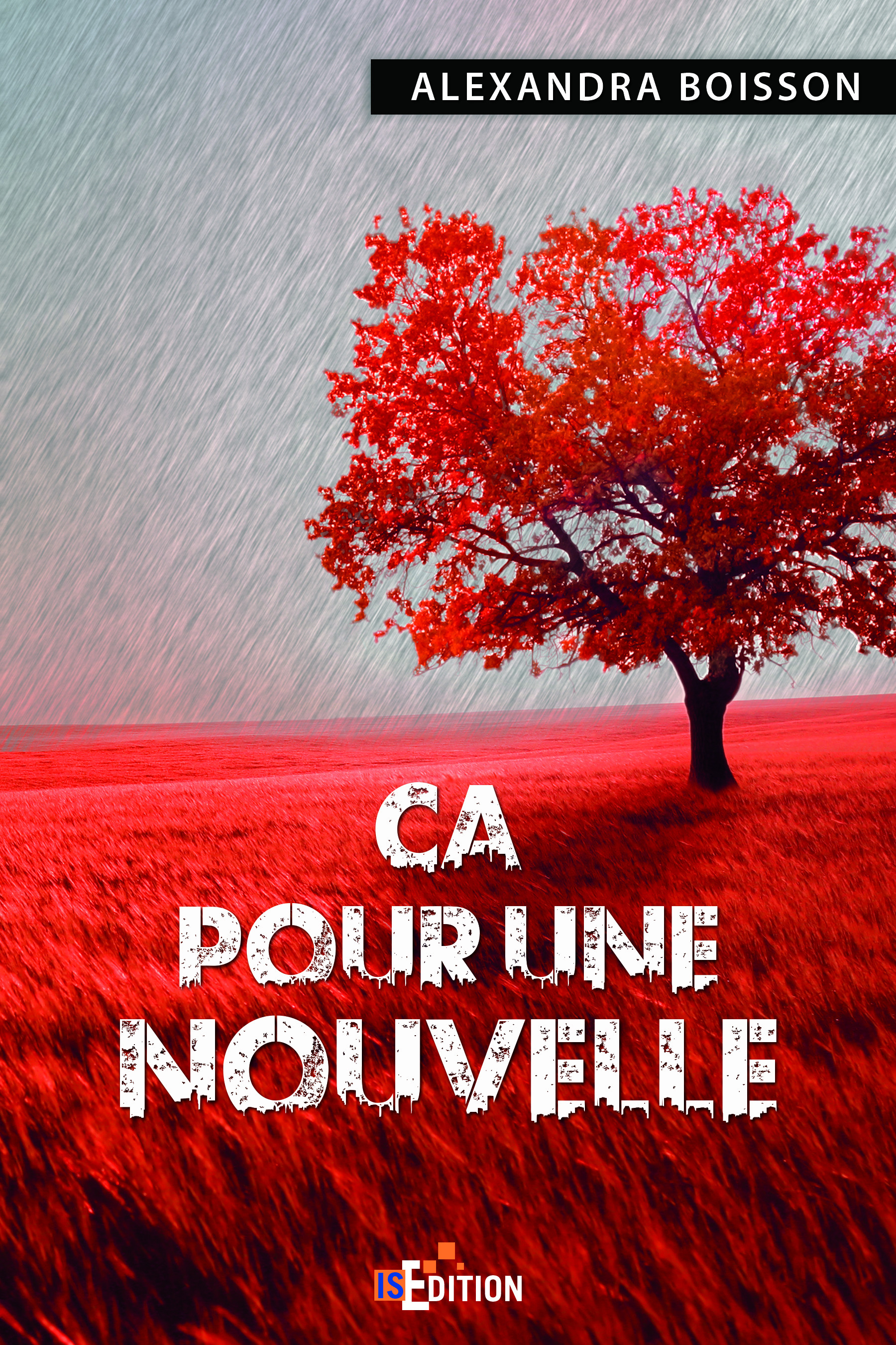 Couverture ebook de Ca pour une nouvelle, de Alexandra Boisson