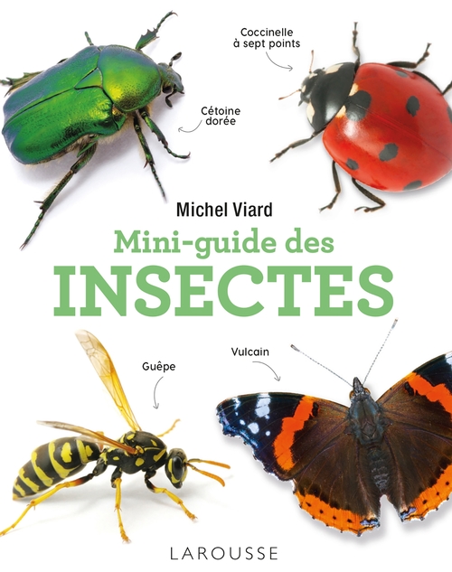 Couverture ebook de Mini-guide des insectes, de Michel Viard