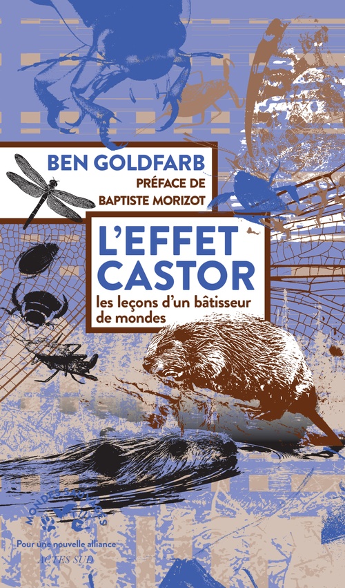 Couverture ebook de L'effet castor, de Ben Goldfarb