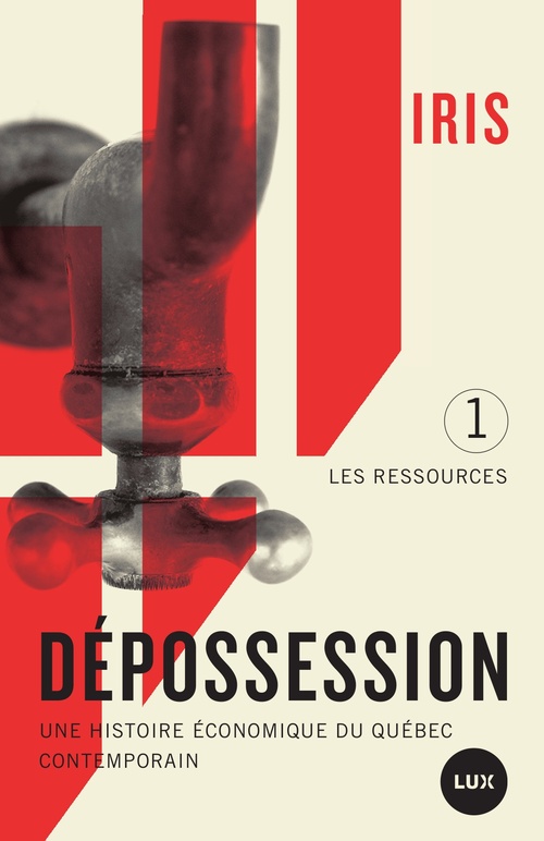 ebook cover of Dépossession, by Iris Institut De Recherche Et D'Informat