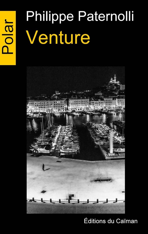 ebook cover of Venture, by Philippe Paternolli