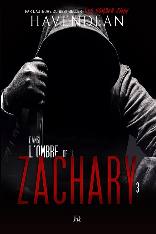 ebook cover of Dans l'ombre de Zachary, by Cynthia Havendean
