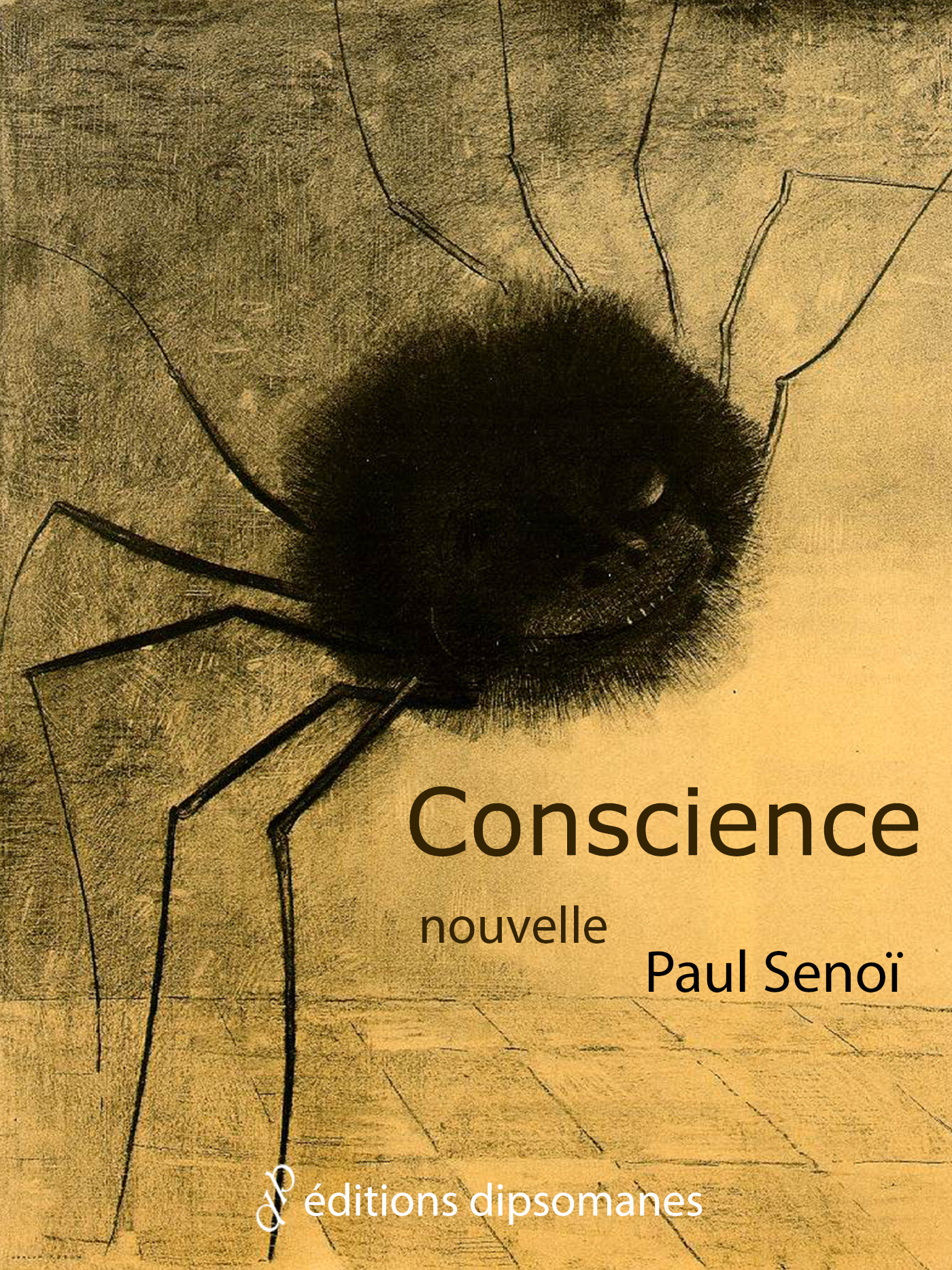 Couverture ebook de Conscience, de Paul Senoi