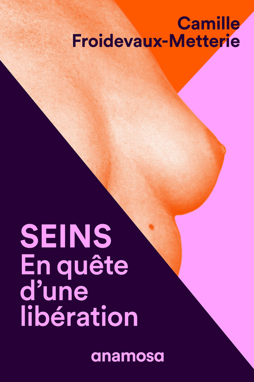 ebook cover of Seins, by Camille Froidevaux-Metterie