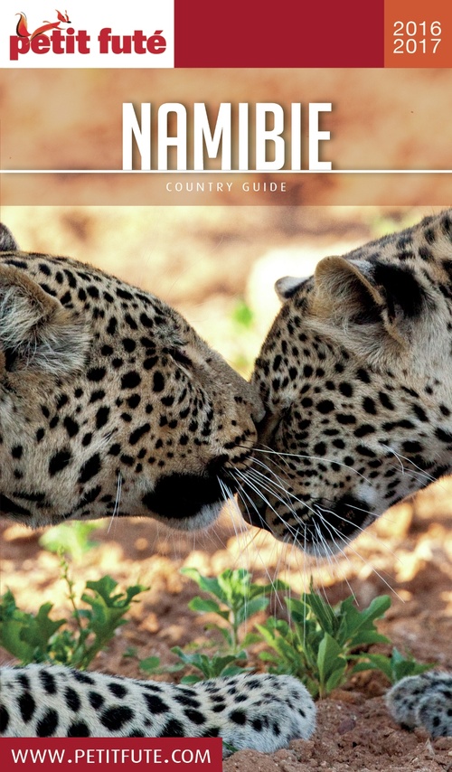ebook cover of NAMIBIE 2016/2017 Petit Futé, by Collectif petit futé