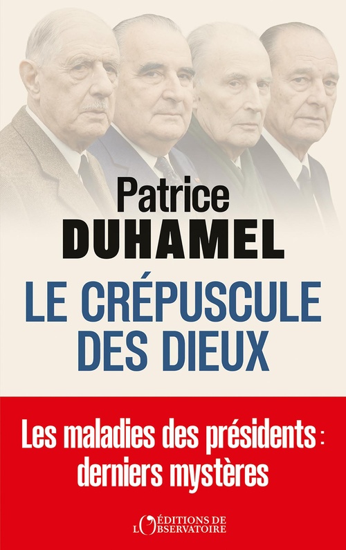 ebook cover of Le crépuscule des dieux, by Patrice Duhamel