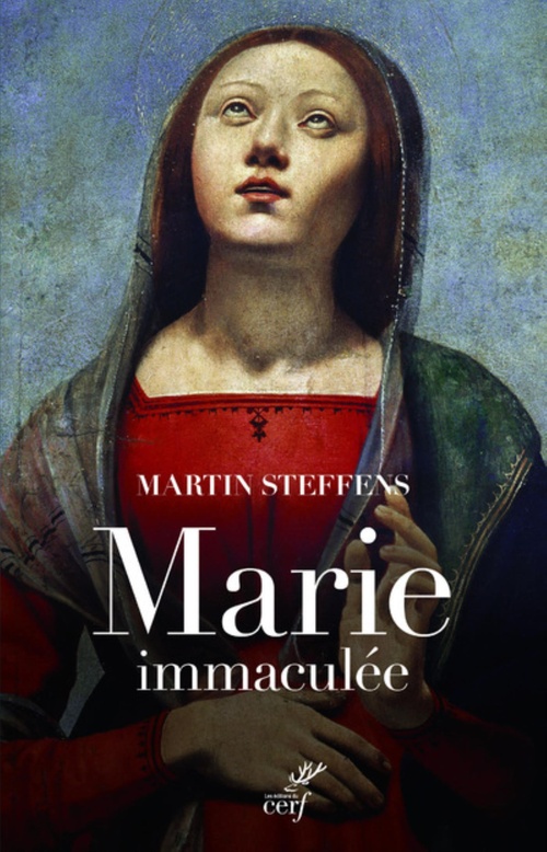 Couverture ebook de MARIE COMME DIEU LA CONCOIT, de Martin Steffens