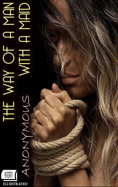 ebook cover of The Way Of A Man With A Maid. Illustrated, by Anonymous