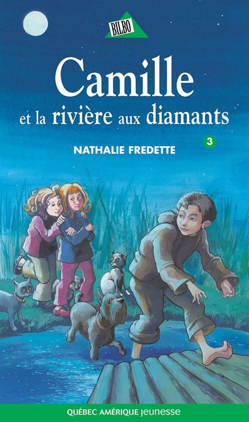 Couverture ebook de Camille 03, de Nathalie Fredette