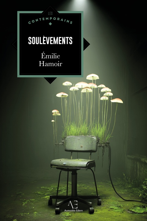 ebook cover of Soulèvements, by Emilie Hamoir
