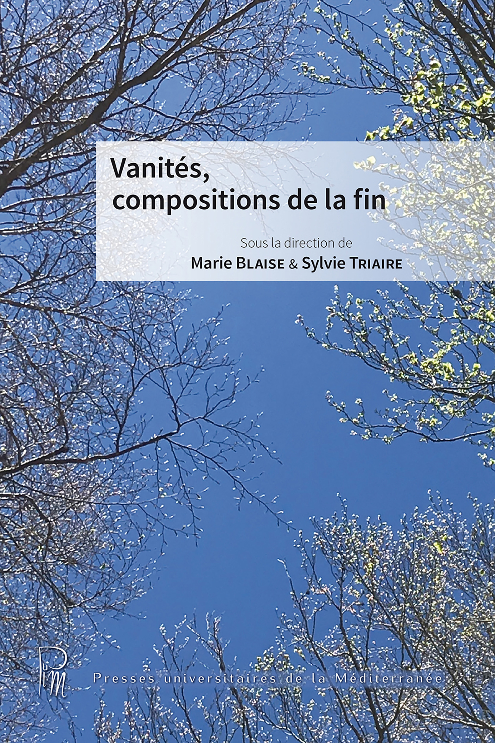 Couverture ebook de Vanités, compositions de la fin, de