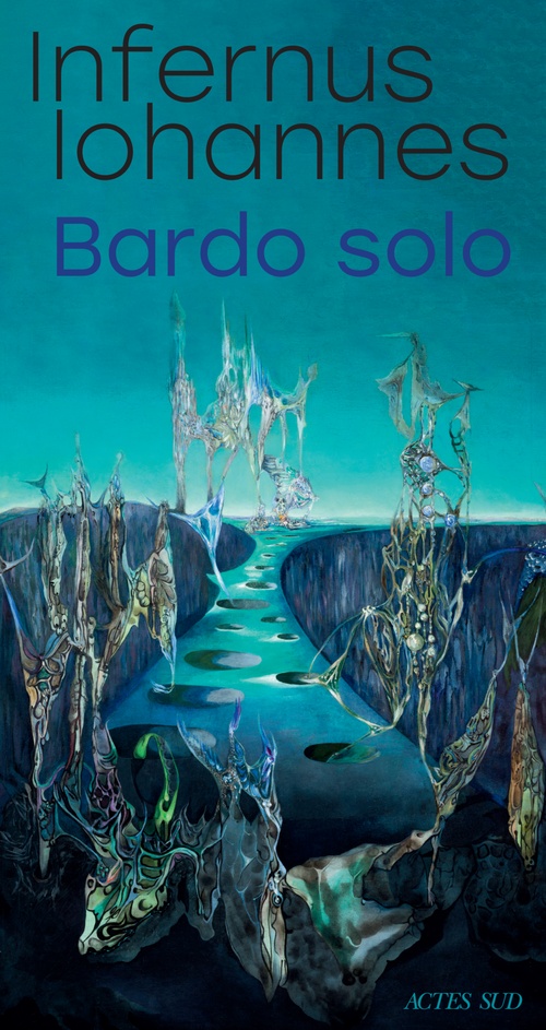 ebook cover of Bardo solo, by Infernus Iohannes