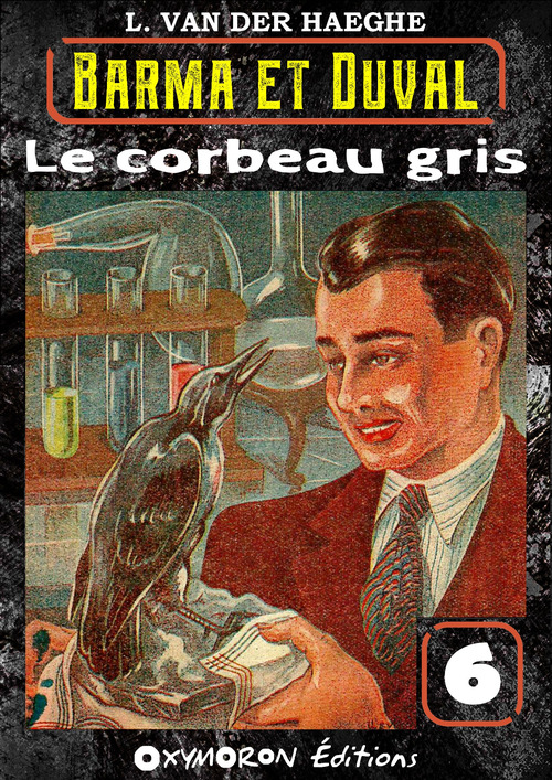 ebook cover of Le corbeau gris, by L. Van Der Haeghe