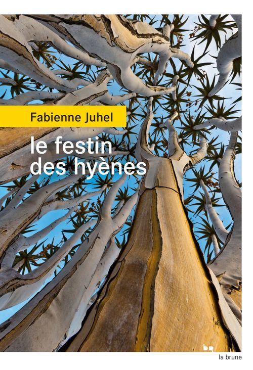 ebook cover of Le festin des hyènes, by Fabienne Juhel