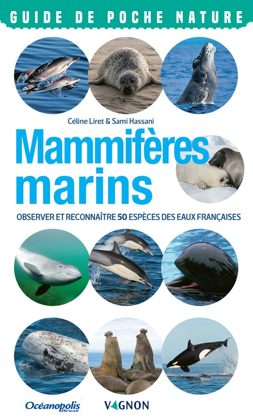 Couverture ebook de Mammifères marins, de Sami Hassani, Céline Liret