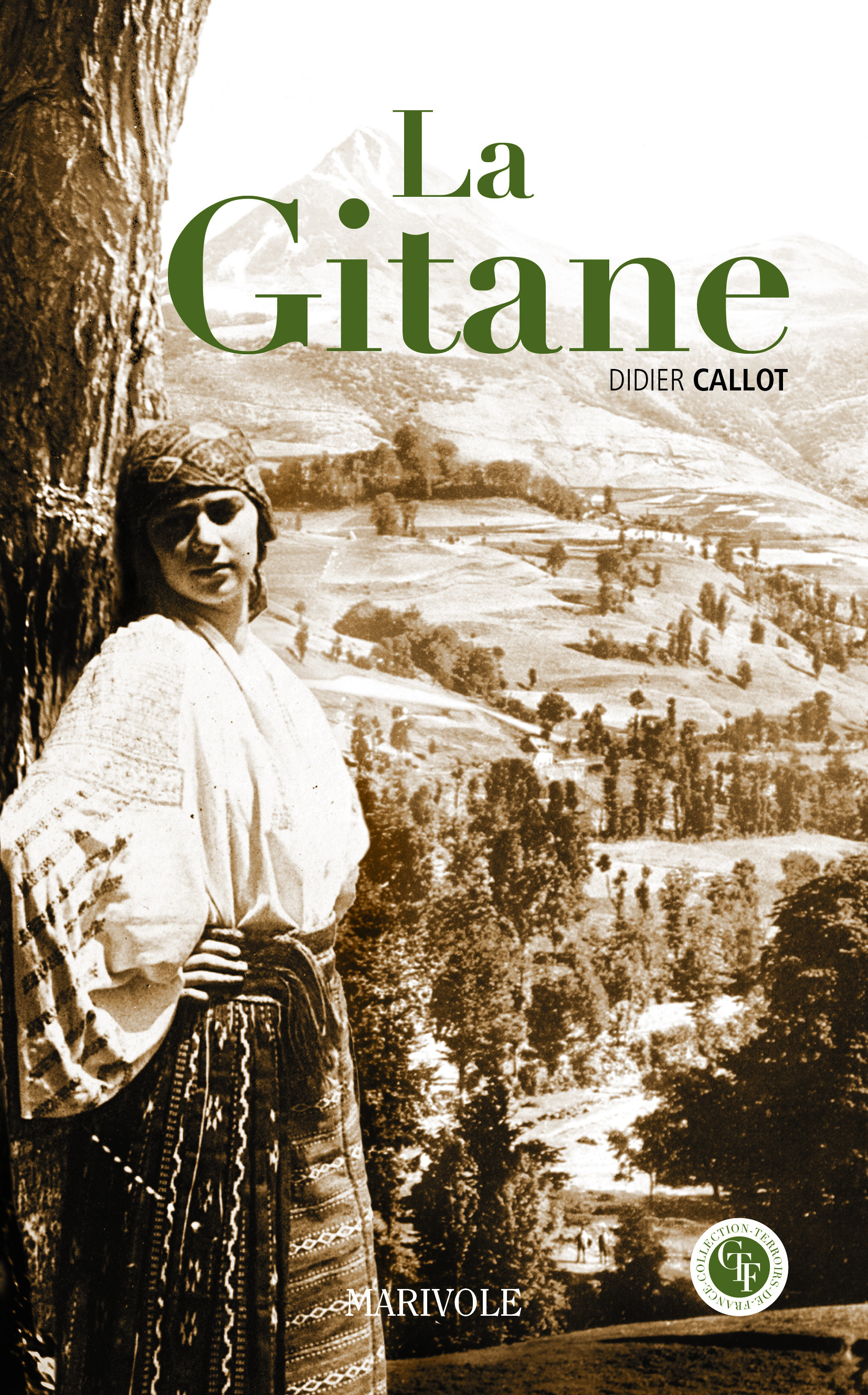 ebook cover of La Gitane, by Didier Callot