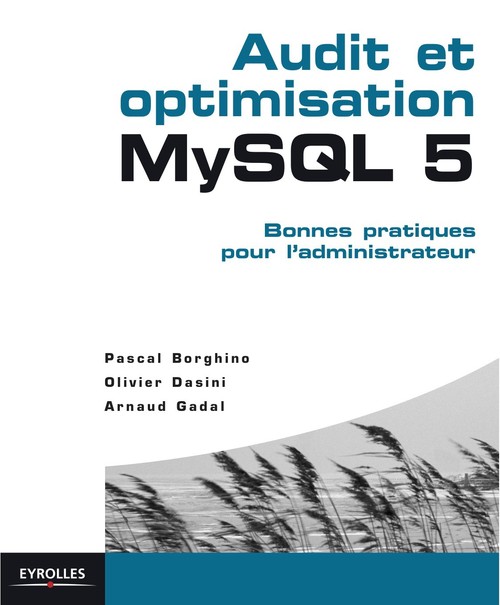 ebook cover of Audit et optimisation MySQL 5, by Borghino/Dasini