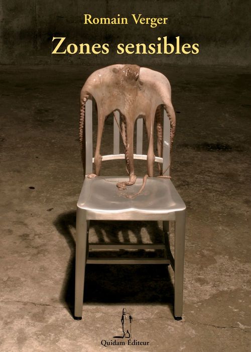 Couverture ebook de Zones sensibles, de Romain Verger