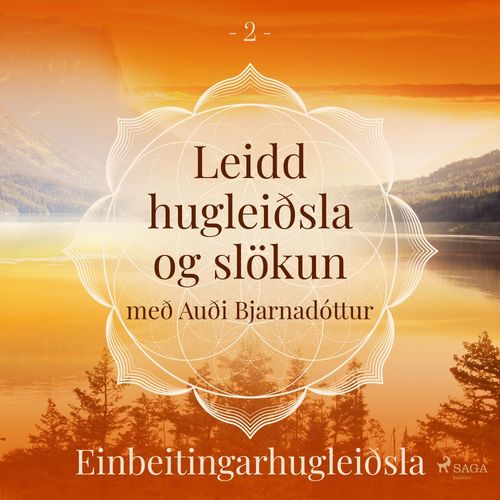 audiobook cover of Leidd hugleiðsla og slökun - Einbeitingarhugleiðsla, by Trine Holt Arnsberg