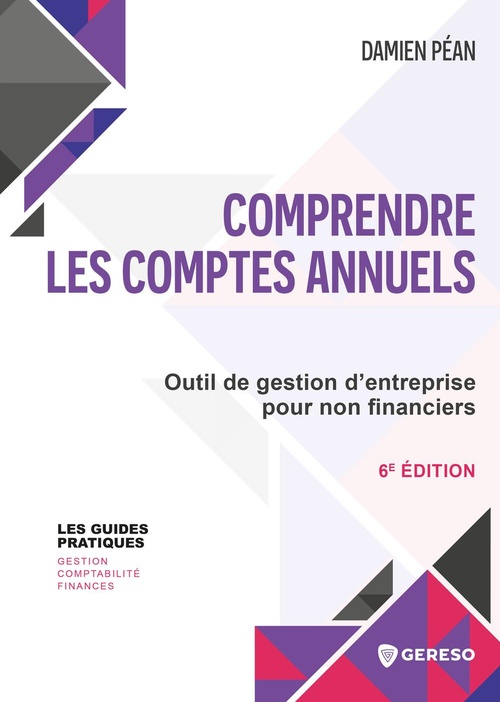 ebook cover of Comprendre les comptes annuels, by Damien Péan