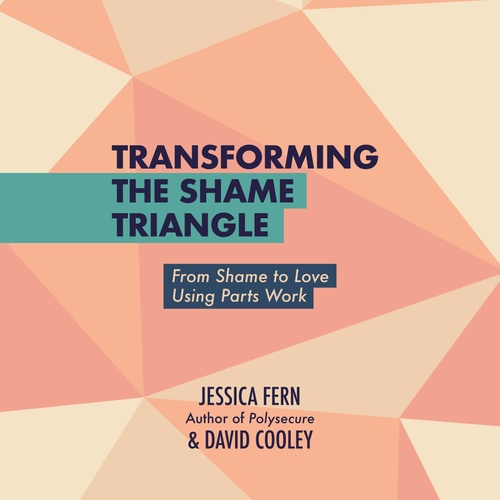 Couverture audiobook de Transforming the Shame Triangle, de Jessica Fern, David Cooley