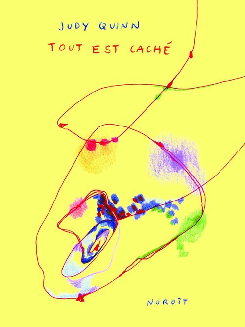 ebook cover of Tout est caché, by Judy Quinn