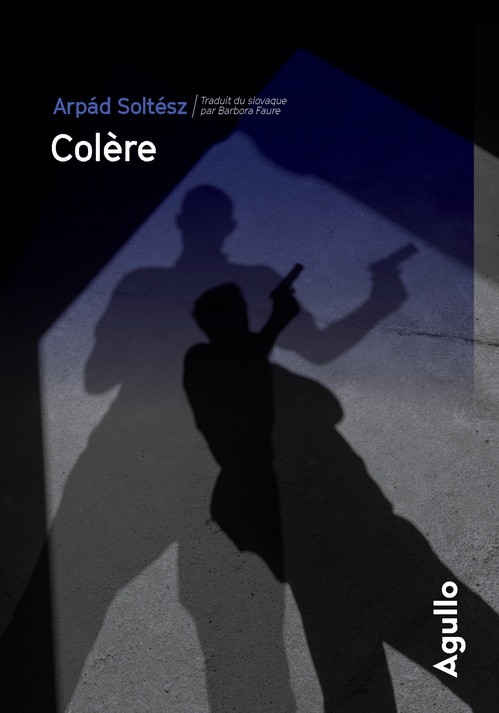 ebook cover of Colère, by Arpad Soltesz