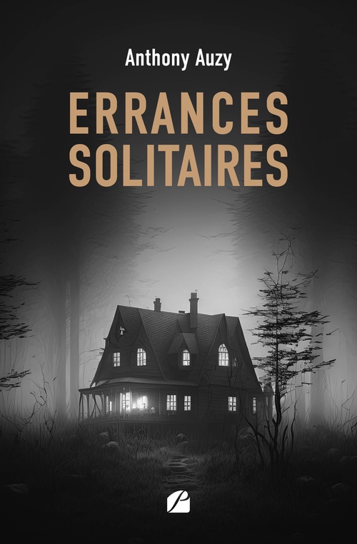 ebook cover of Errances solitaires, by Anthony Auzy