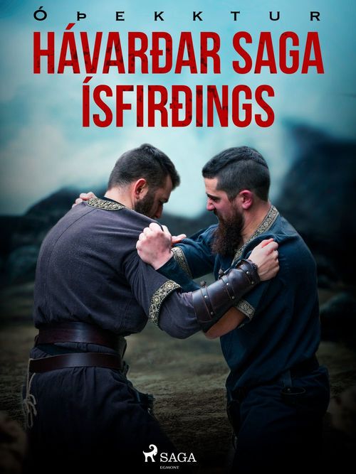 ebook cover of Hávarðar saga Ísfirðings , by -  OþEkktur