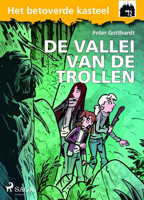 Couverture ebook de Het betoverde kasteel 12 - De vallei van de trollen, de Peter Gotthardt