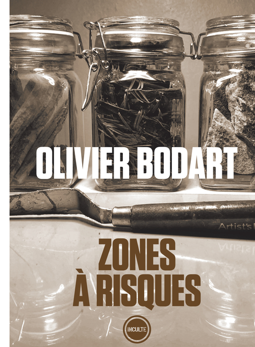 ebook cover of Zones à risques, by Olivier Bodart