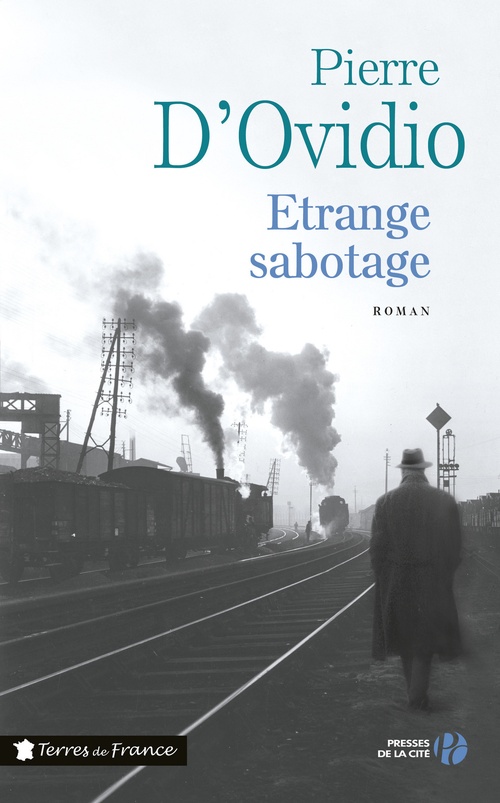 ebook cover of Etrange sabotage et grande confusion, by Pierre d' Ovidio