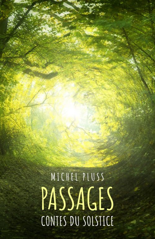 Couverture ebook de Passages, de Michel Pluss